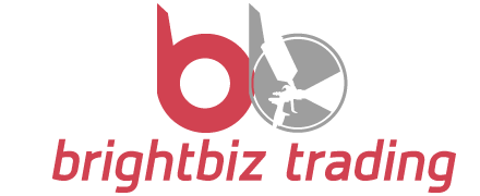 Brightbizs.com